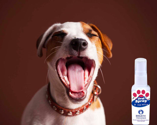 PETZZ Anti-Bacteriële Mondspray - Hygiëne & Verzorging - Hondenhoek