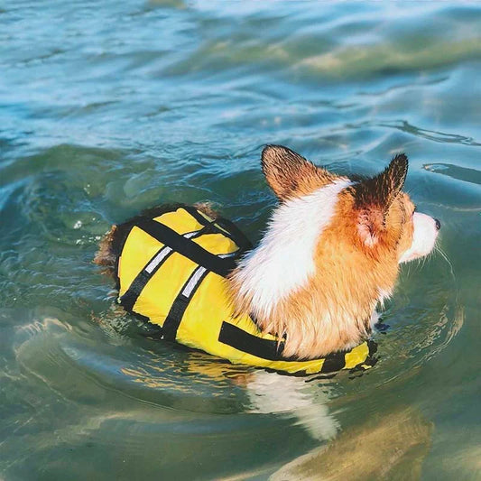 Life jacket for dogs