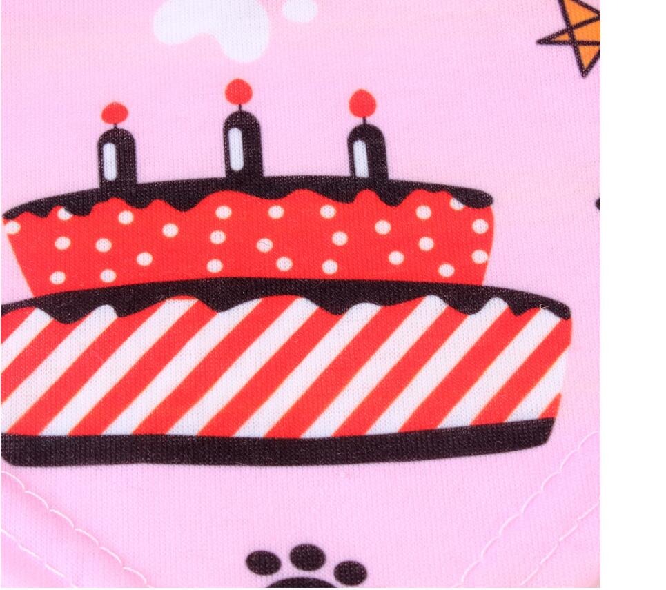 Verjaardagsoutfit voor Honden - Een feest voor hondjes - Verjaardag