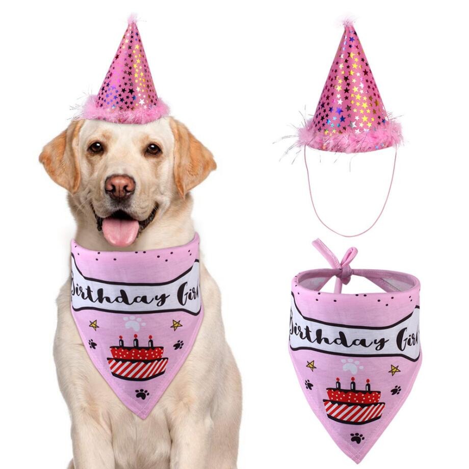Verjaardagsoutfit voor Honden - Een feest voor hondjes - Verjaardag