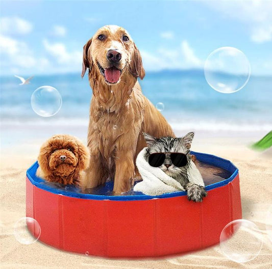 Zwembad voor honden - Verkoeling voor Honden in de Zomer - Hondenhoek