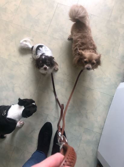 100% Leather Duo Leash