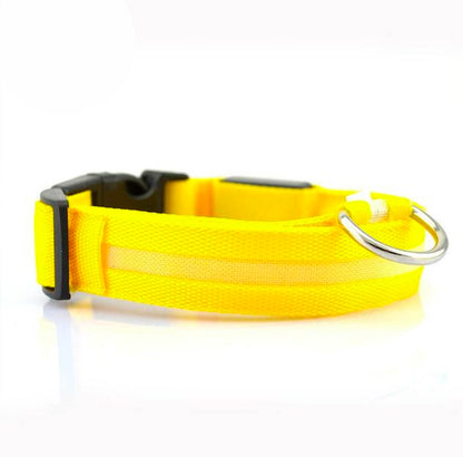 Glow In The Dark Halsband - Halsbanden voor honden - Hondenhoek