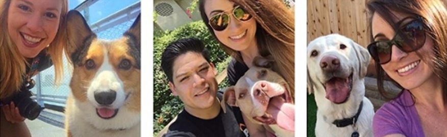 Honden Selfiestick