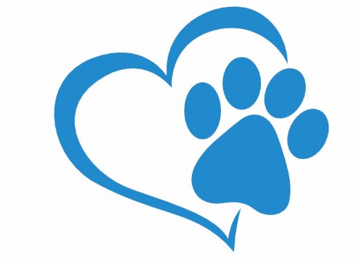 Auto Honden Stickers - Maak Uw Autoraam Mooi - De Hondenhoek Online