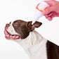 Gouttes pour les oreilles de chien
