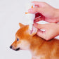 Gouttes pour les oreilles de chien