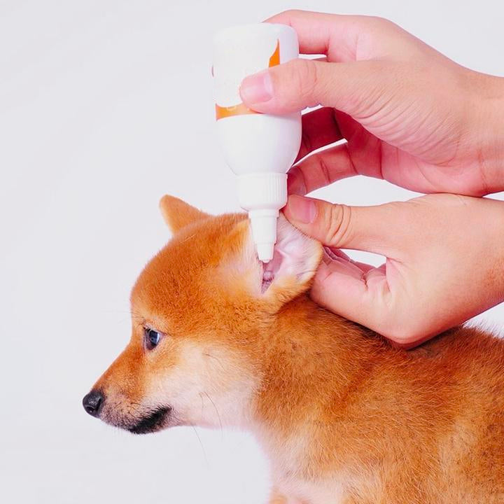 Dog Ear Drops