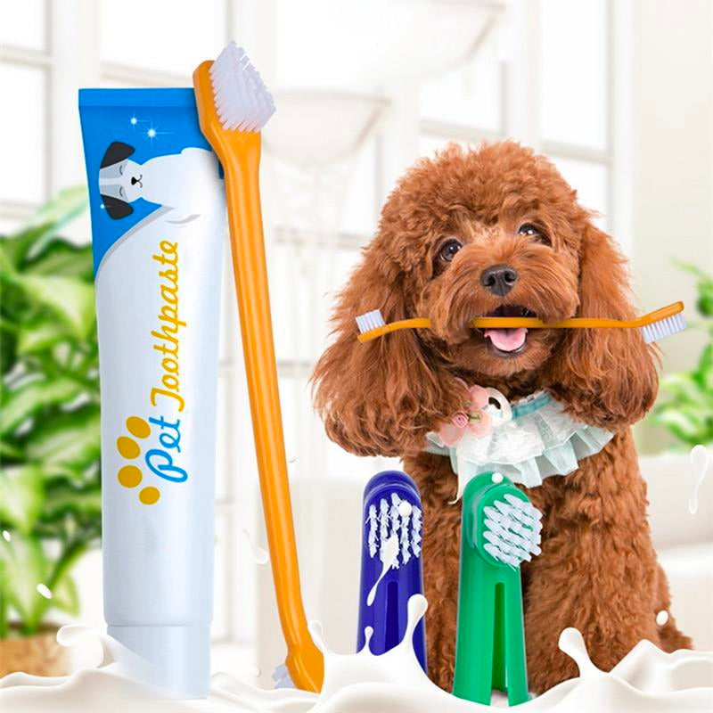 Verzorging Honden Tanden Tandpasta