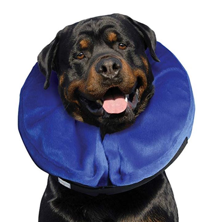 Protective Collar