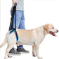 PETZZ Ondersteunende Heupband - Veiligheid voor de hond - WOEF Boetiek