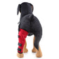 Chiens Talon Protecteur