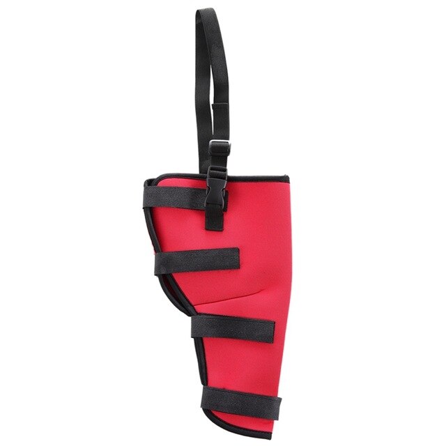 Dog Heel Protector