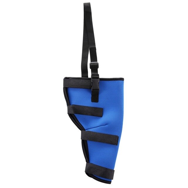 Dog Heel Protector