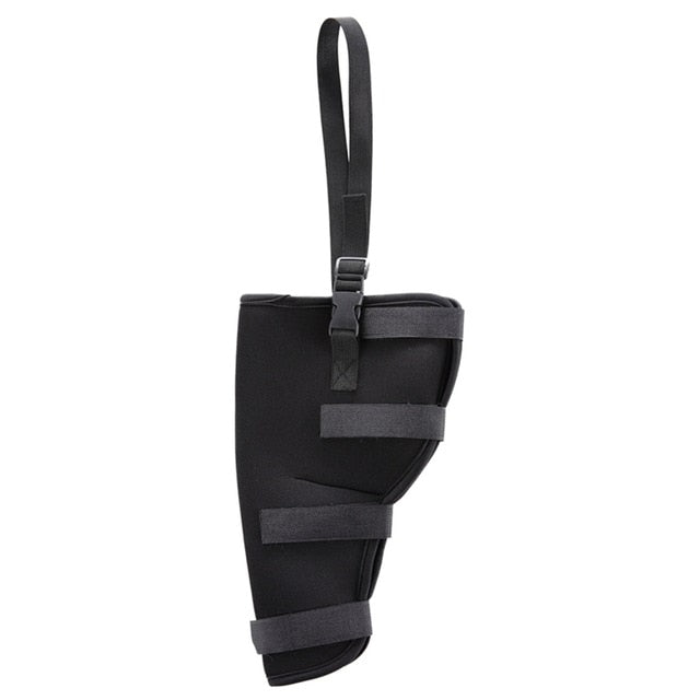 Dog Heel Protector