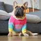 iBeans Hipster Doggo Trui - WOEF Boetiek - alles voor uw hond