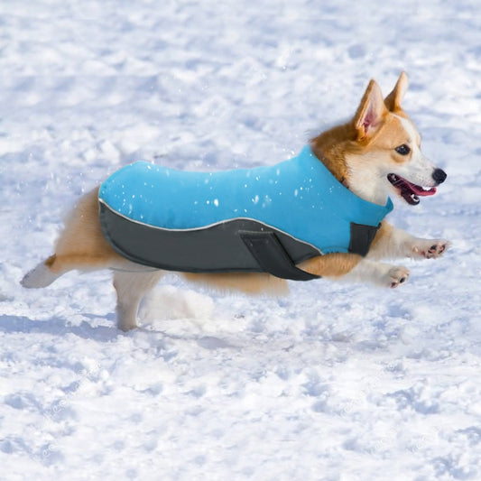 Winter Waterproof Honden Jas - Warm de Herfst in - WOEF Boetiek