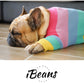 iBeans Hipster Doggo Trui - WOEF Boetiek - alles voor uw hond