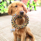 PETZZ Touwtrek Ring Deluxe - Heerlijk speelgoed voor honden - Online