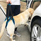 PETZZ Ondersteunende Heupband - Veiligheid voor de hond - WOEF Boetiek