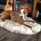 Memory Foam+ Hondenbed - Perfecte Bedden voor Honden - Hondenhoek