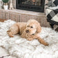 Memory Foam+ Hondenbed - Perfecte Bedden voor Honden - Hondenhoek