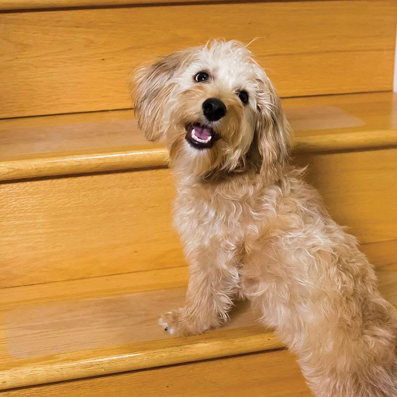 Anti-Slip Trapstickers - Veilig traplopen voor uw viervoeters & Honden