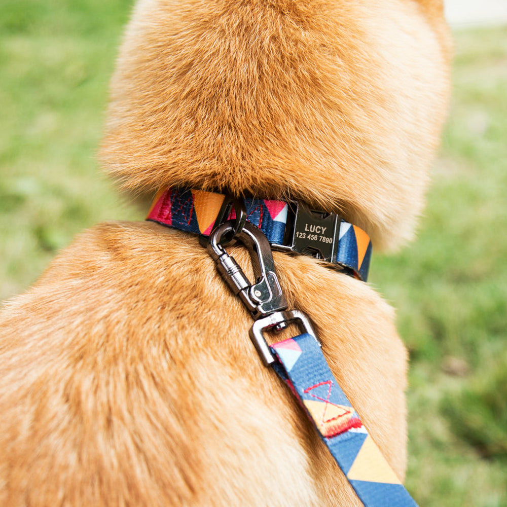 PETZZ Kleurrijke Gepersonaliseerde Halsband - GRATIS Riem voor Honden