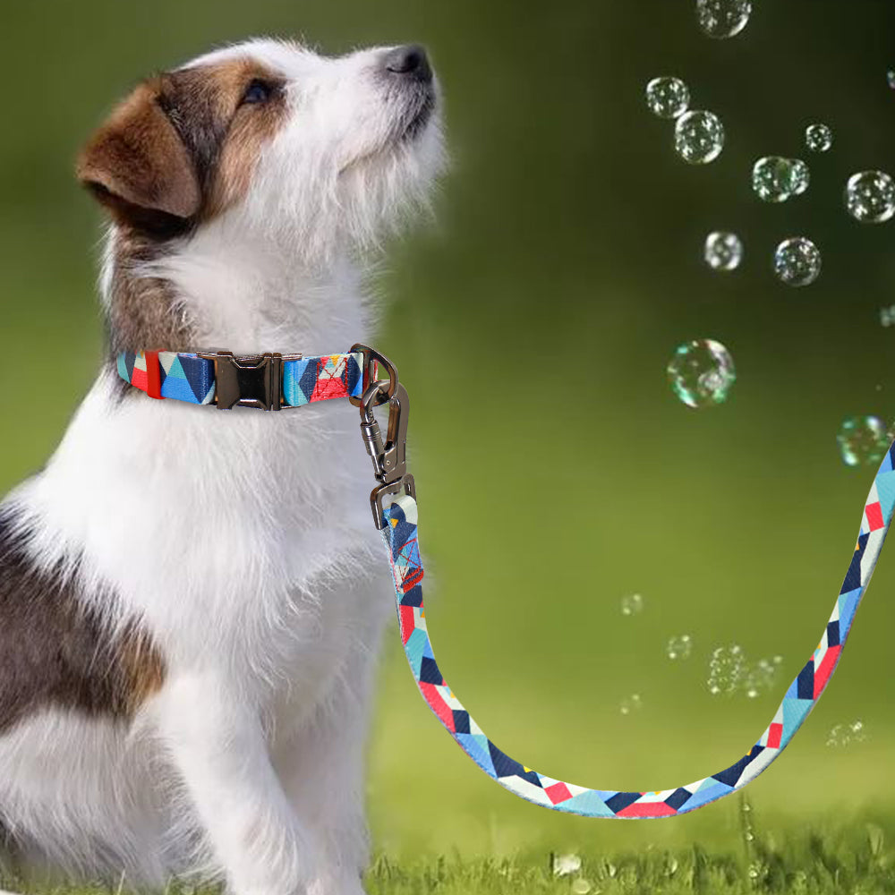 PETZZ Kleurrijke Gepersonaliseerde Halsband - GRATIS Riem voor Honden