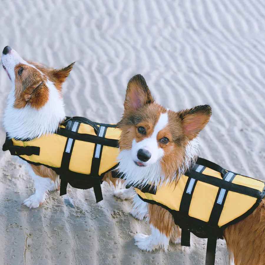 Life jacket for dogs