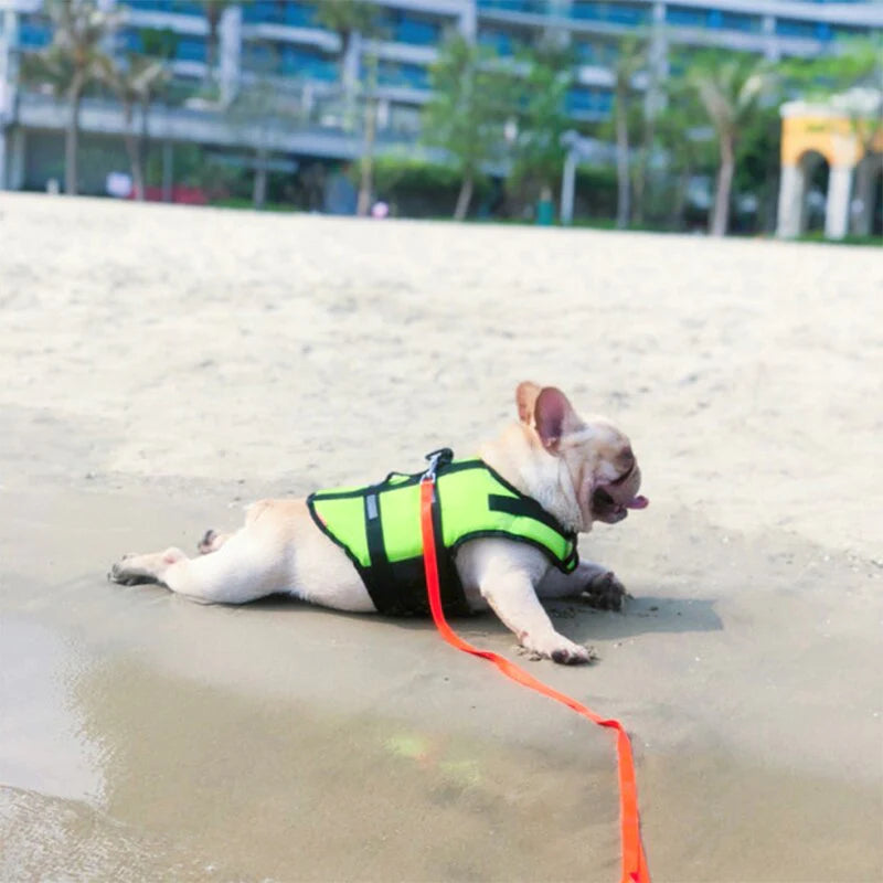 Life jacket for dogs