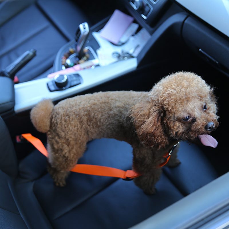 User-friendly seat belt