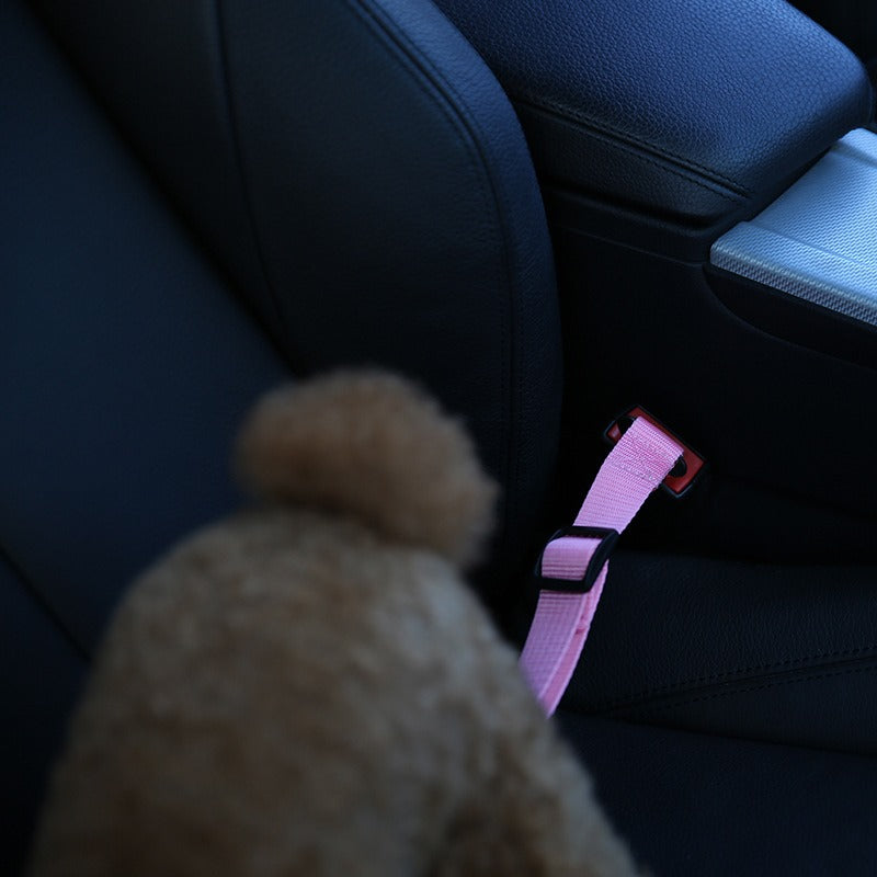 User-friendly seat belt