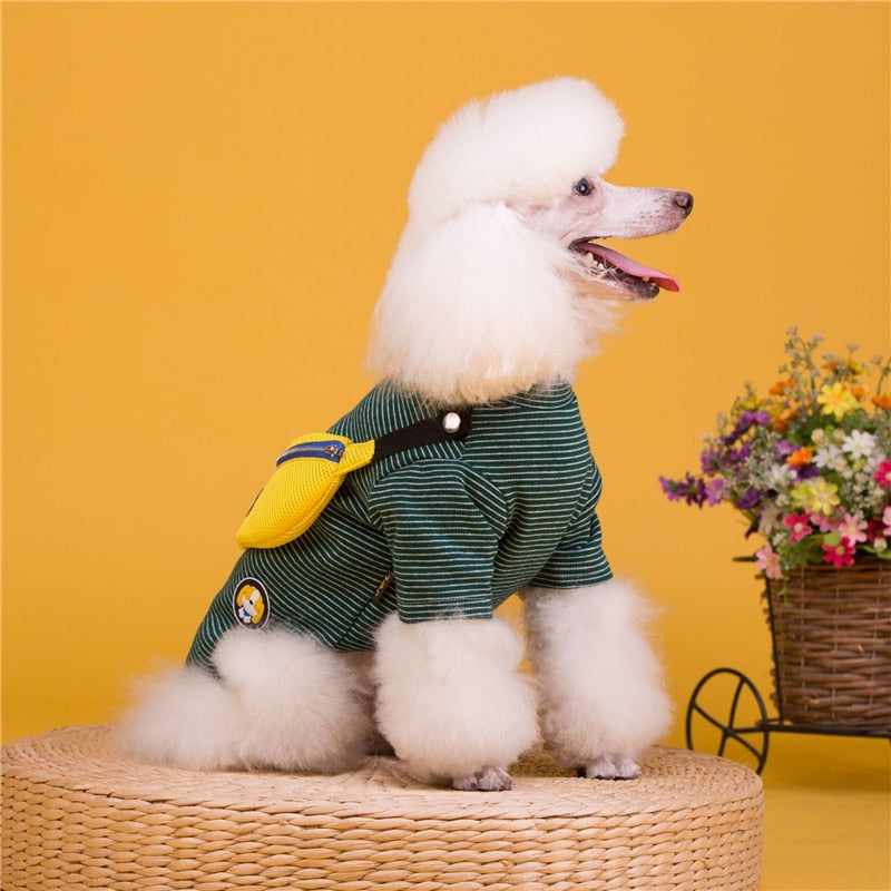 PETZZ Wandel Outfit voor Honden - Heerlijk Wandelen met de Viervoeter