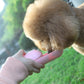 PETZZ Slimme Draagbare Mini Waterfles - Online Hondenwinkel - WOEF