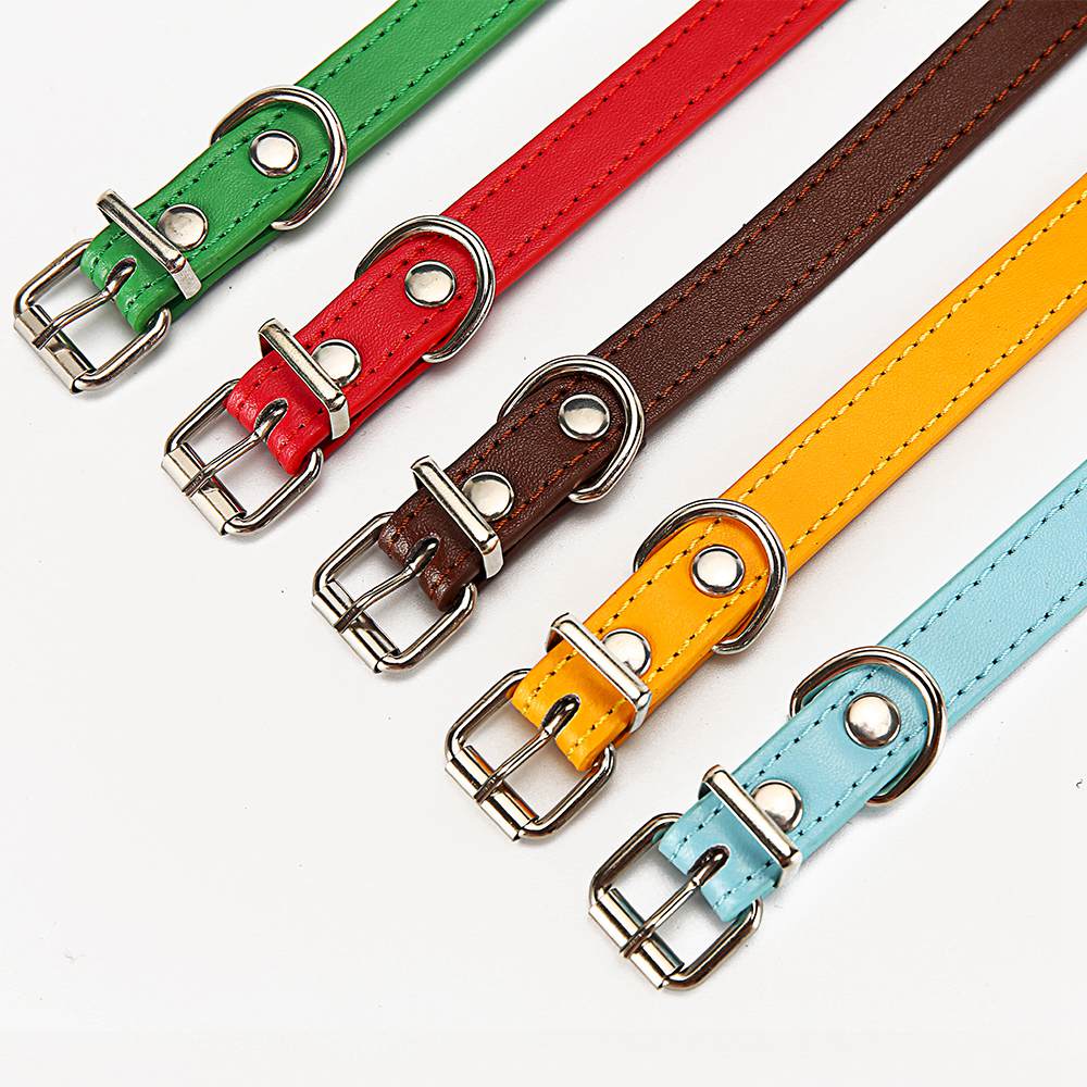Kleurrijke Honden Halsband - Riemen voor kleine hondjes - WOEF Boetiek