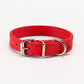 Kleurrijke Honden Halsband - Riemen voor kleine hondjes - WOEF Boetiek