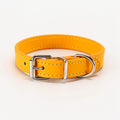 Kleurrijke Honden Halsband - Riemen voor kleine hondjes - WOEF Boetiek
