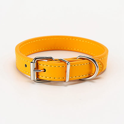 Kleurrijke Honden Halsband - Riemen voor kleine hondjes - WOEF Boetiek