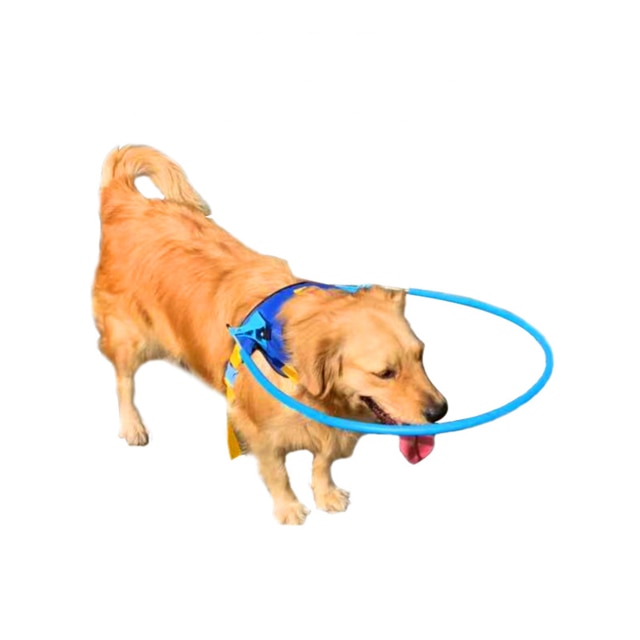 PETZZ Veiligheidsschild voor blinde honden - Online Hondenwinkel