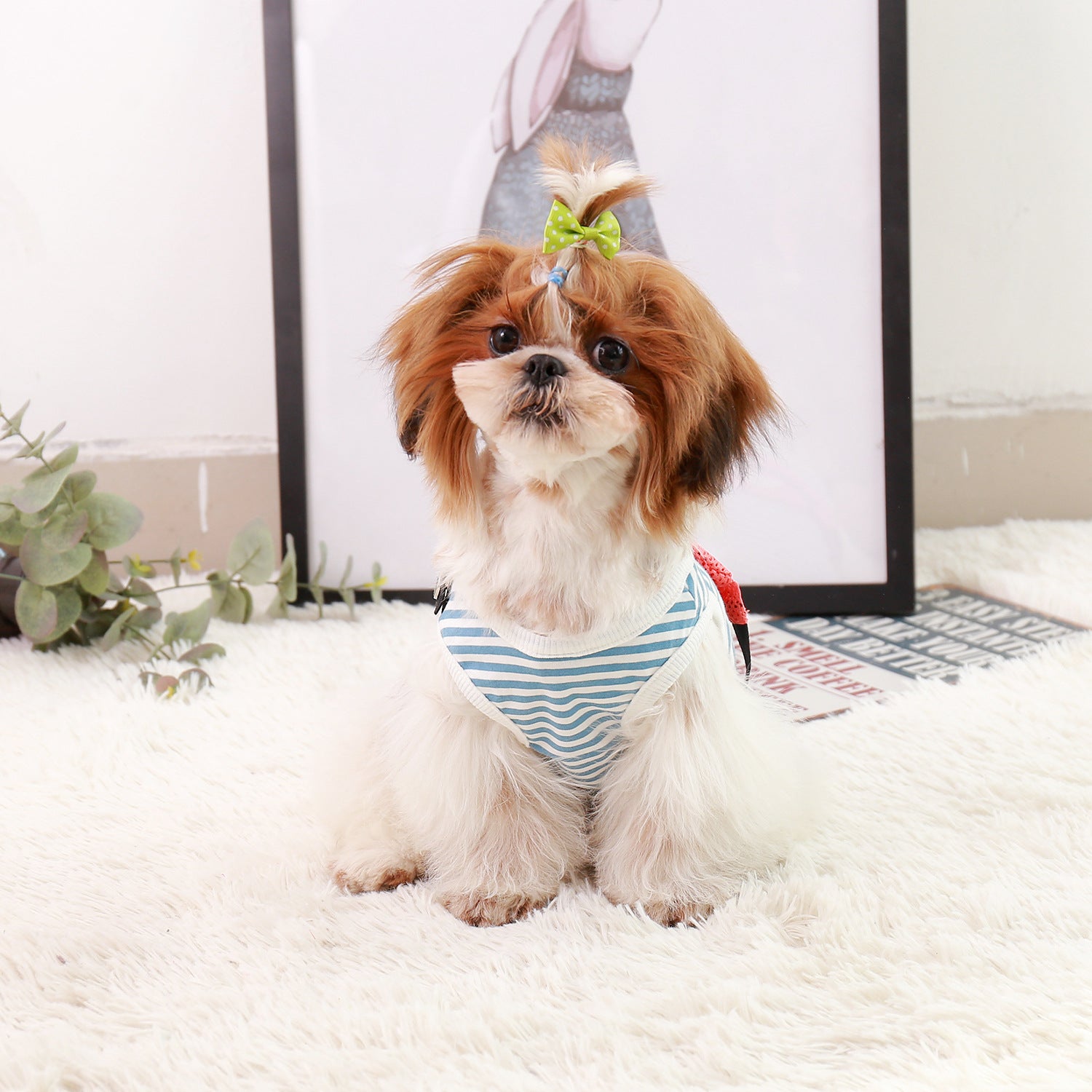 PETZZ Wandel Outfit voor Honden - Heerlijk Wandelen met de Viervoeter