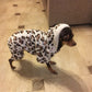 PETZZ Trui met Luipaard Print - Winter warm voor de hond - Hondenhoek