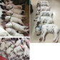 Puppy Identificatiestrip Halsbanden - Puppies en Honden Online kopen