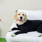 PETZZ Beschermende herstel onesie - Voor honden na operaties - WOEF
