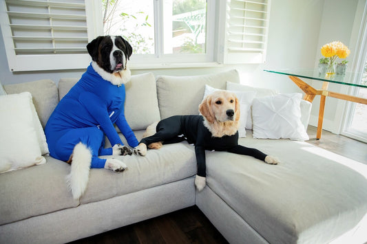 PETZZ Beschermende herstel onesie - Voor honden na operaties - WOEF