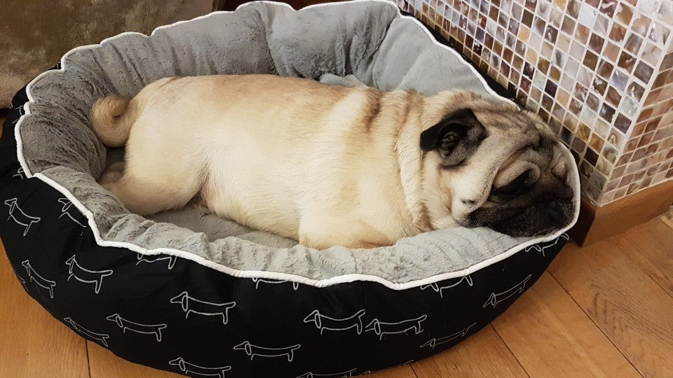 Poofie Luxe Hondenbed - Heerlijk zacht bed voor honden - Online kopen