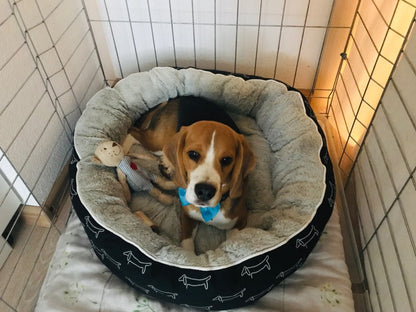 Poofie Luxe Hondenbed - Heerlijk zacht bed voor honden - Online kopen