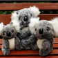 PETZZ Koala Knuffel - Mooie knuffels voor uw hond, kind - WOEF Boetiek