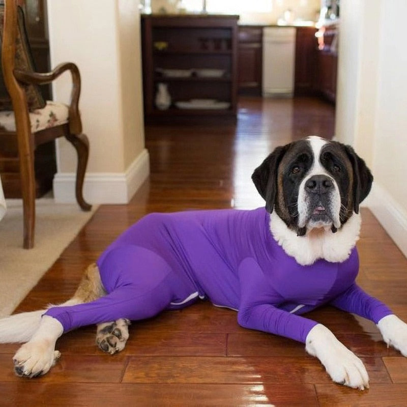 PETZZ Beschermende herstel onesie - Voor honden na operaties - WOEF