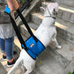 PETZZ Ondersteunende buikband - Wandelen met Seniore Honden - WOEF
